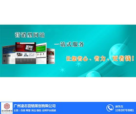 凌志营销策划 打造高转化营销型网页的专家服务