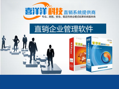 软件开发、技术开发与制度设计在企业营销策划中的集成应用咨询